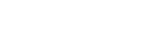 AIVERSE